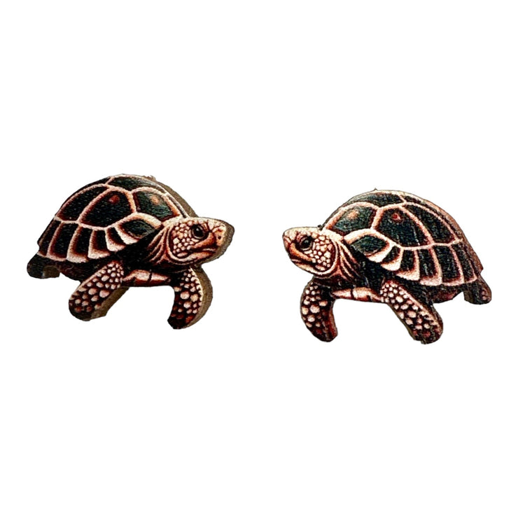 Turtle Stud Earrings 