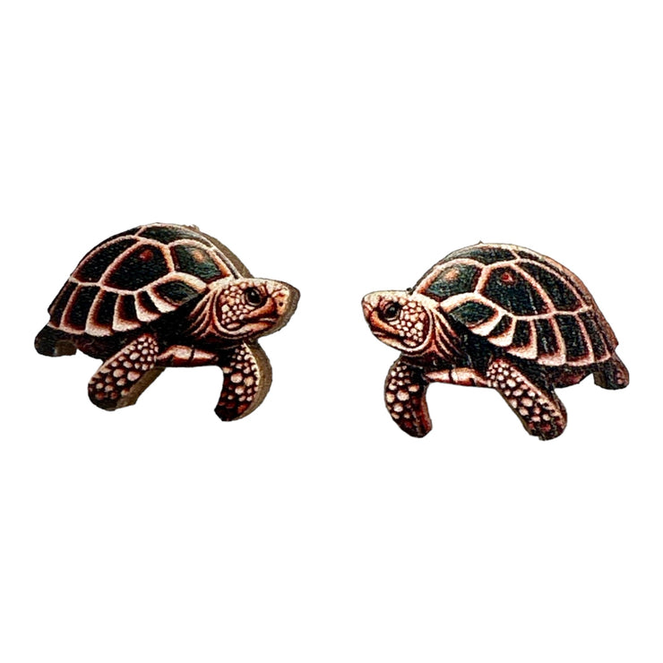 Turtle Studs 