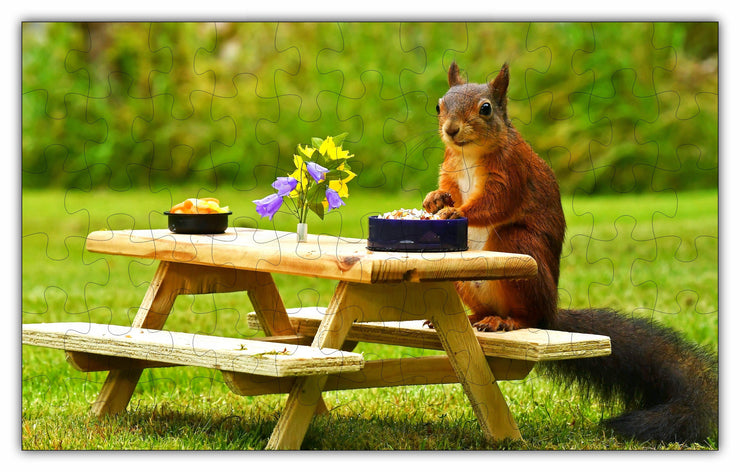 A Squirrel Having a Nice Picnic Lunch Puzzle - 66PCS - 