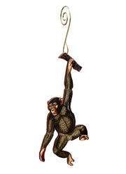 Chimpanzee Ornament #9878