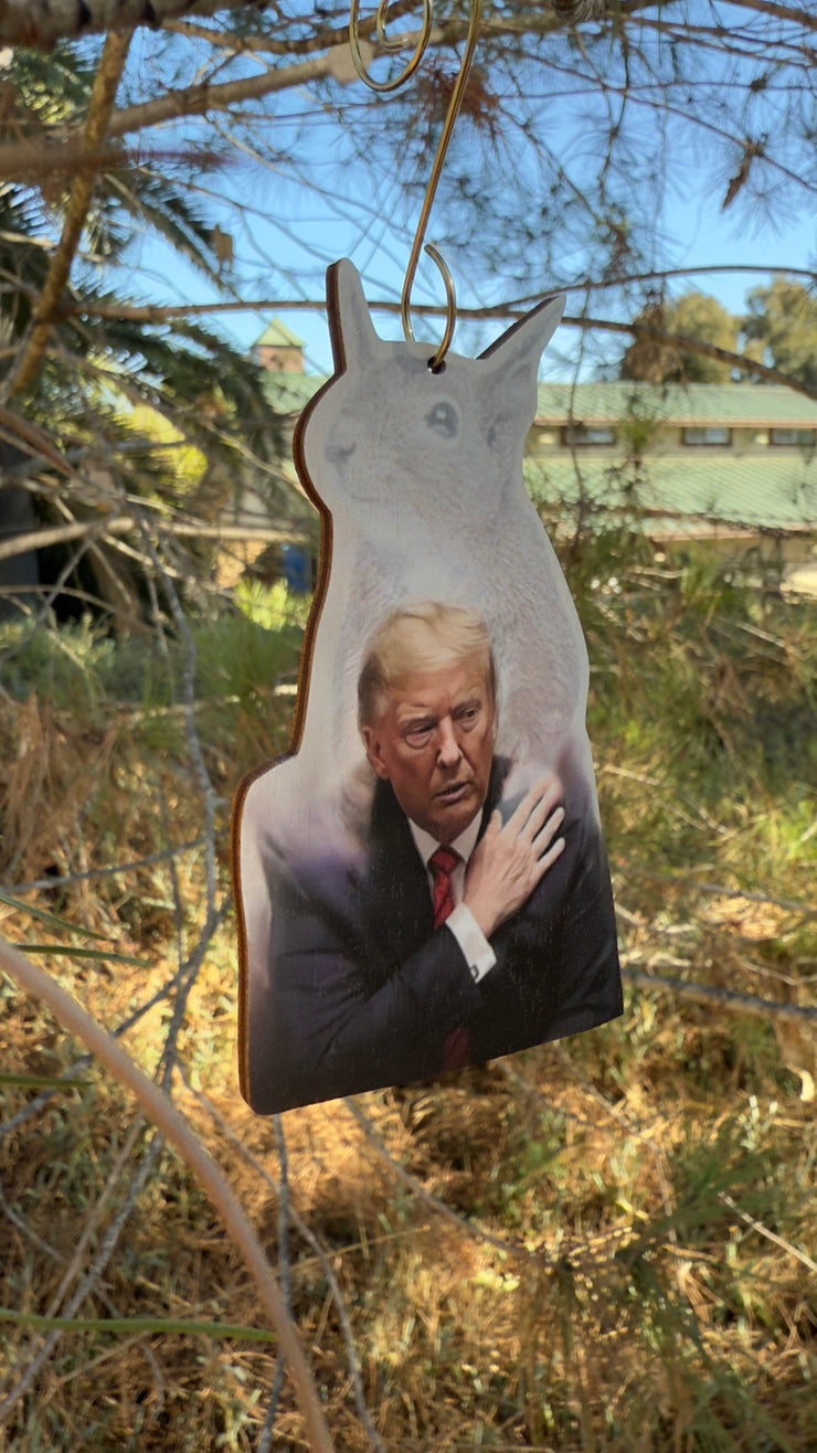 Donald Trump and Peanut Ornament 